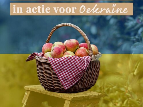 Hulp aan Oekraïense families: onze reis